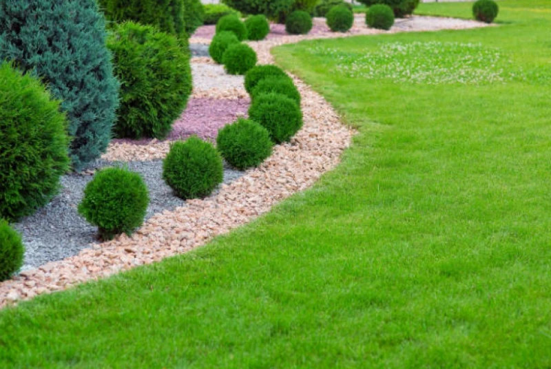 Projeto de Jardim em Prosperidade foto 10