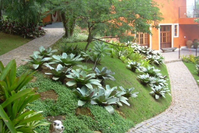 Projeto de Jardim em Prosperidade foto 7