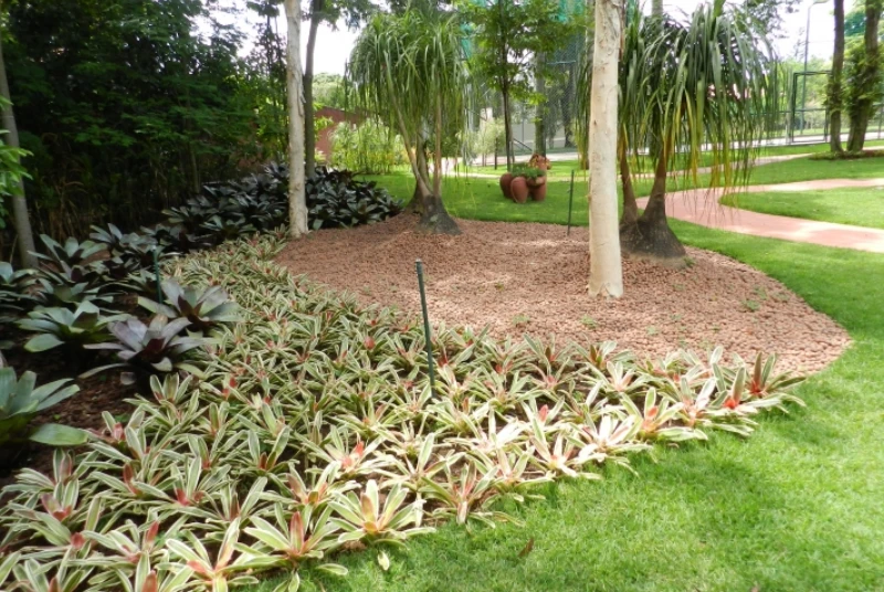 Projeto de Jardim em Prosperidade foto 9